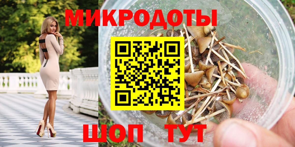 Псилоцибиновые грибы мицелий Ялуторовск